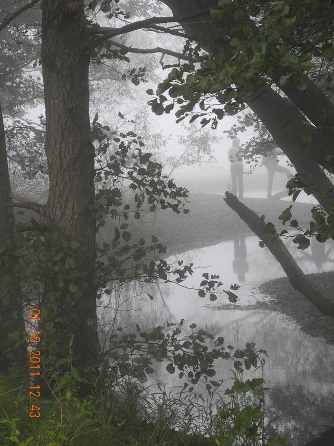 Villa Gina Österlen Sankt Olof Dış mekan fotoğraf